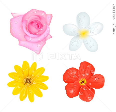 Four Flowers With Drops Set 96813307