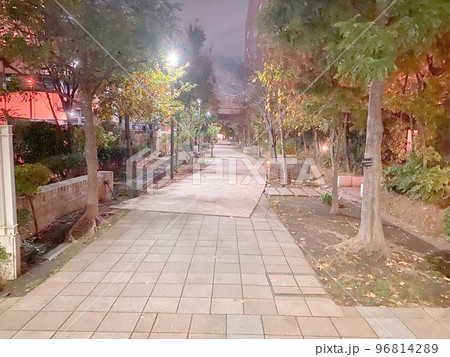 夜の小径 夜の小径 96814289