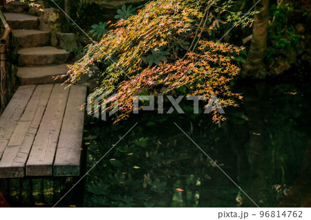 京都 南禅寺・天授庵の美しい紅葉と庭園	 96814762