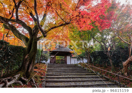 秋の安楽寺 秋の安楽寺 96815159