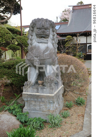 謎だらけの神の使い霊獣その名は狛犬！繁昌院 96816644