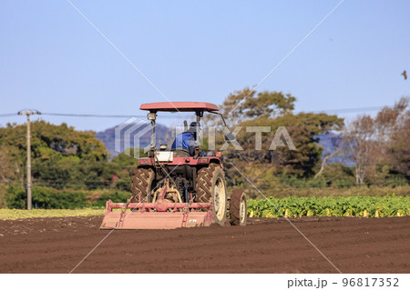 畑を耕しているトラクター 96817352