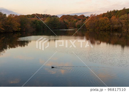 日本の鳥取県の三朝温泉の河原風呂の美しい風景 96817510