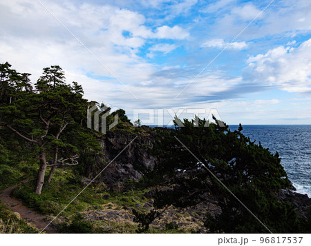 冬の城ヶ崎海岸 96817537