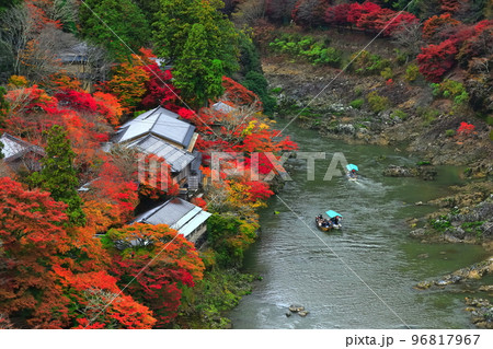 【京都府】紅葉の保津川下り（嵐山　桂川　嵐峡） 96817967