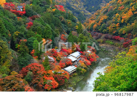 【京都府】紅葉の保津川下り（嵐山　桂川　嵐峡） 96817987