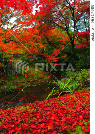 【京都府】宝厳院の紅葉（獅子吼の庭） 96817989
