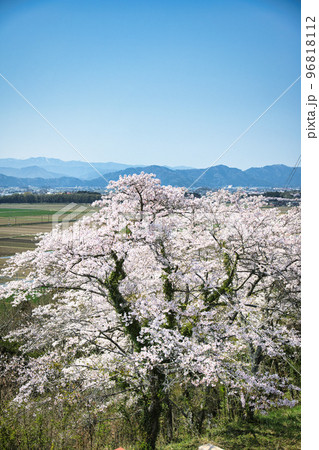 虎御前山からの春景色 虎御前山からの春景色 96818112