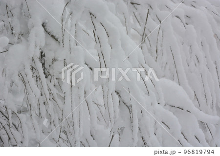 雪 雪 96819794