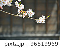 桜と日本家屋 96819969