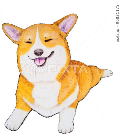 目を細めるコーギー ペン画 96821175