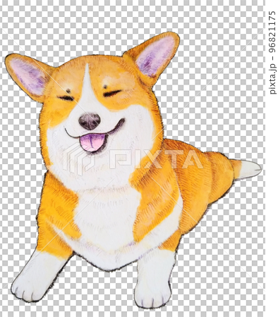 Squinting corgi pen drawing Squinting corgi pen drawing 96821175