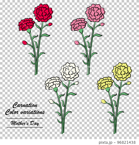 康乃馨（變色） 96821438