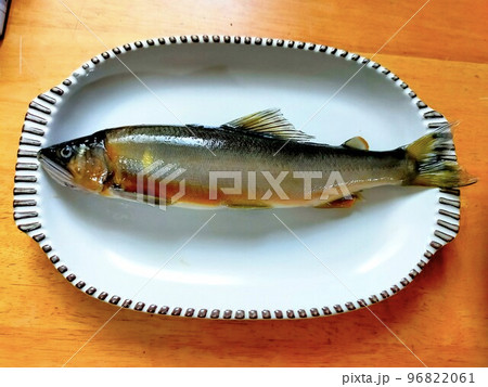 鮎のイメージ画像 鮎のイメージ画像 96822061