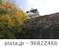 大阪城の紅葉風景 96822466