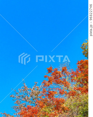 秋の景色　大菩薩嶺に続く日川の美しい紅葉 96822746