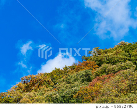 秋の景色　大菩薩嶺に続く日川の美しい紅葉 96822796