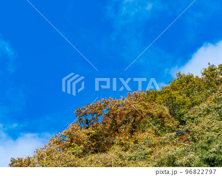 秋の景色　大菩薩嶺に続く日川の美しい紅葉 96822797