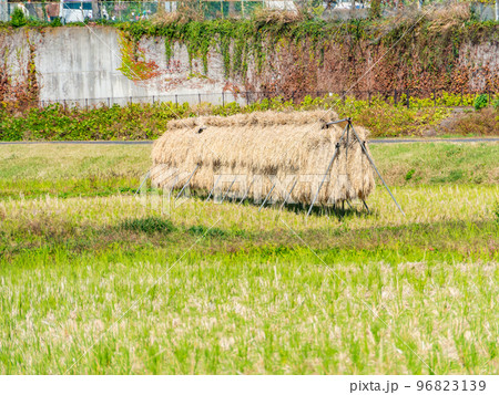 晩秋の景色 実りの秋の農の風景 晩秋の景色 実りの秋の農の風景 96823139