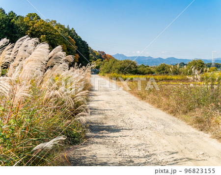 晩秋の景色 実りの秋の農の風景 晩秋の景色 実りの秋の農の風景 96823155