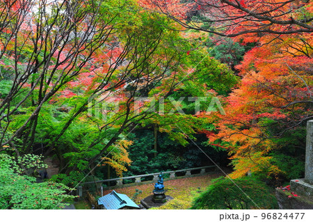 【香川県】根香寺の紅葉(第八十二番札所) 【香川県】根香寺の紅葉(第八十二番札所) 96824477