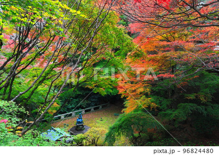 【香川県】根香寺の紅葉（第八十二番札所） 96824480