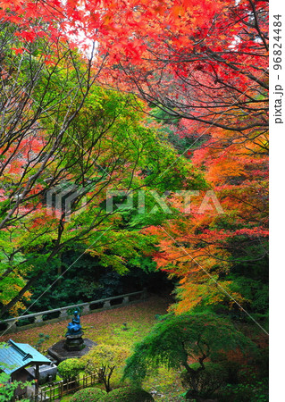 【香川県】根香寺の紅葉(第八十二番札所) 【香川県】根香寺の紅葉(第八十二番札所) 96824484