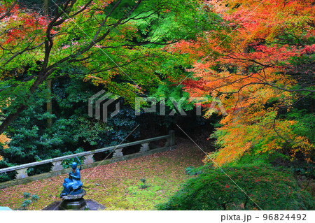 【香川県】根香寺の紅葉（第八十二番札所） 96824492