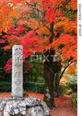 【香川県】根香寺の紅葉（第八十二番札所） 96824498