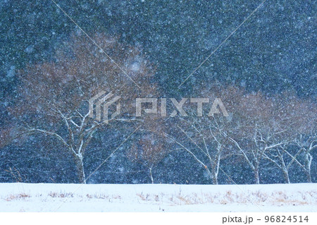 雪が降る幻想的な雪景色・奥三河北設楽町 雪が降る幻想的な雪景色・奥三河北設楽町 96824514