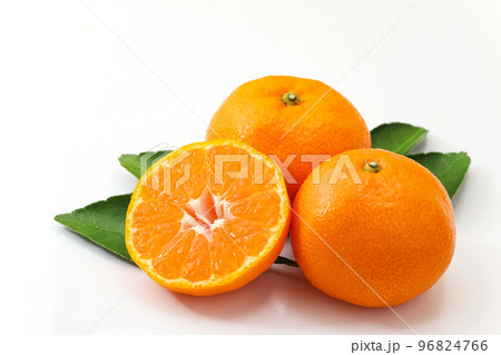 白バックで葉を添えた温州みかん 96824766