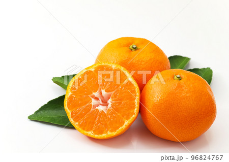 白バックで葉を添えた温州みかん 白バックで葉を添えた温州みかん 96824767