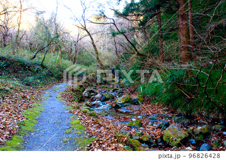 【埼玉】冬の秩父　和同開珎モニュメント脇の小川 96826428