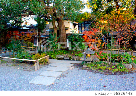 【埼玉】冬の秩父　秩父神社の「水占」みくじの小川 96826448