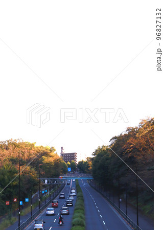 野川公園の間の東八道路 野川公園の間の東八道路 96827132