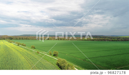 View overlooking the rapeseed field in countryside of Berkshire 96827178