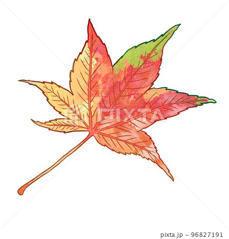 紅葉の葉 96827191
