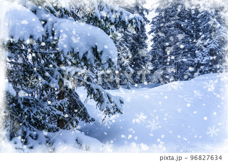 Christmas and New Year background with snowy fir trees and heavy snowfall. Magic holiday background, Christmas greetings concept Christmas and New Year background with snowy fir trees and heavy snowfall. Magic holiday background, Christmas greetings concept 96827634