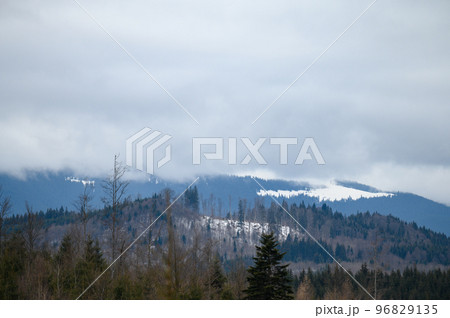 Wonderful views of the Carpathian Mountains covered with snow and a clear blue sky in Ukraine. 96829135