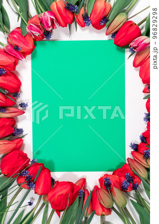 Flower vertical frame of tulips with a green empty background for inscription for different holidays. Hello spring, teacher's day, Mother's Day, March 8, spring sale. Flower vertical frame of tulips with a green empty background for inscription for different holidays. Hello spring, teacher's day, Mother's Day, March 8, spring sale. 96829298