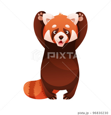 panda bear tail
