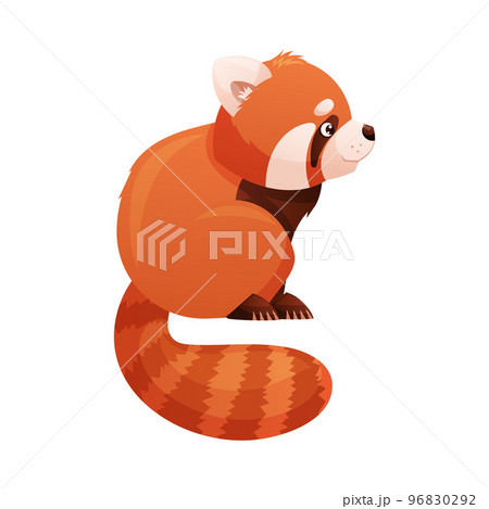 Adorable Red Panda as Small Fluffy Mammal with Dense Reddish-brown Fur and Ringed Tail Sitting Side View Vector Illustration Adorable Red Panda as Small Fluffy Mammal with Dense Reddish-brown Fur and Ringed Tail Sitting Side View Vector Illustration 96830292
