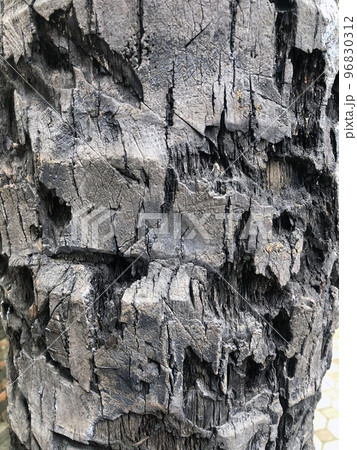Grunge Tree Bark 96830312