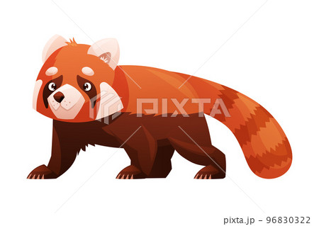 Adorable Red Panda as Small Fluffy Mammal with Dense Reddish-brown Fur and Ringed Tail Walking Vector Illustration 96830322