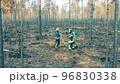 Firemen are discussing directions in the forest fire zone 96830338