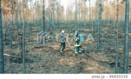 Firemen are discussing directions in the forest fire zone 96830338