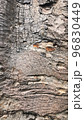 Wooden Texture Grey Tree 96830449