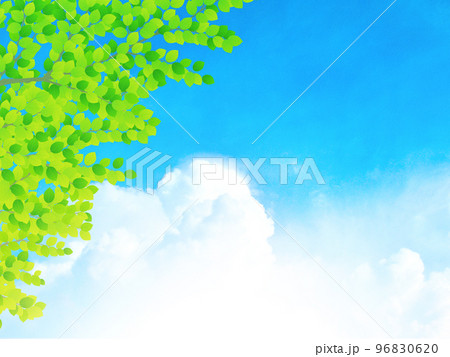 新緑 若葉 青空 環境イメージ背景素材 新緑 若葉 青空 環境イメージ背景素材 96830620