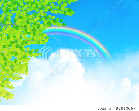 新緑　若葉　青空　環境イメージ背景素材 96830667