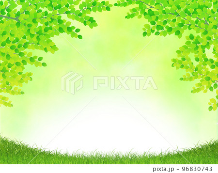 新緑　若葉　環境イメージ背景素材 96830743
